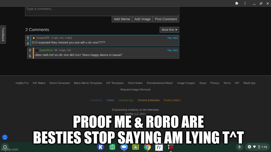 REEEEEEEE im not a liar so haters stop messaging me acc T^T | PROOF ME & RORO ARE BESTIES STOP SAYING AM LYING T^T | image tagged in for le haters | made w/ Imgflip meme maker