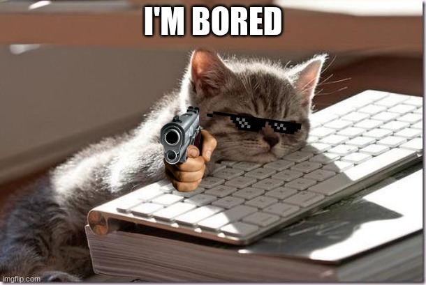 Bored Keyboard Cat | I'M BORED | image tagged in bored keyboard cat | made w/ Imgflip meme maker
