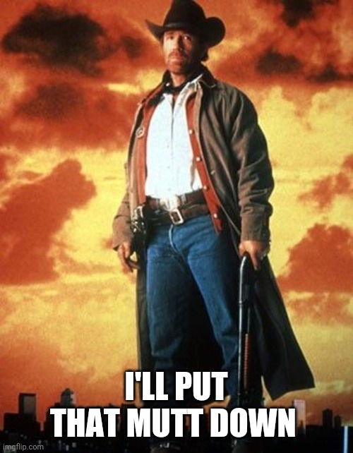 walker texas ranger | I'LL PUT THAT MUTT DOWN | image tagged in walker texas ranger | made w/ Imgflip meme maker