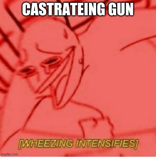 Wheeze | CASTRATEING GUN | image tagged in wheeze | made w/ Imgflip meme maker