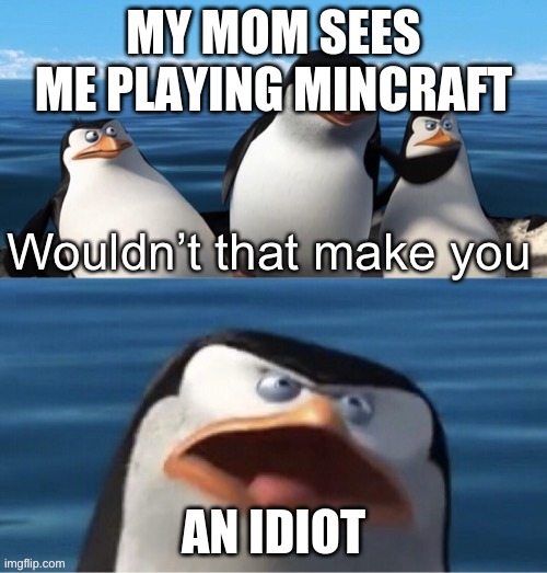 Wouldn’t that make you | MY MOM SEES ME PLAYING MINECRAFT; AN IDIOT | image tagged in wouldn t that make you | made w/ Imgflip meme maker