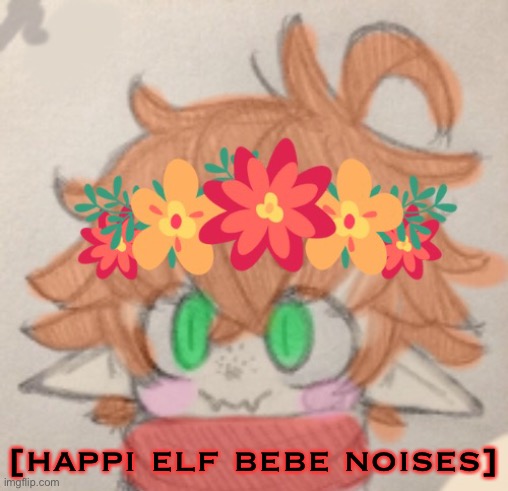 Elf bebe | [happi elf bebe noises] | image tagged in elf bebe | made w/ Imgflip meme maker