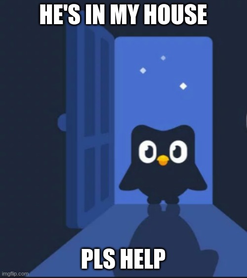 Duolingo bird | HE'S IN MY HOUSE PLS HELP | image tagged in duolingo bird | made w/ Imgflip meme maker