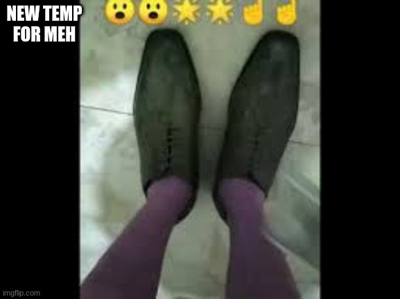 NEW TEMP FOR MEH | made w/ Imgflip meme maker