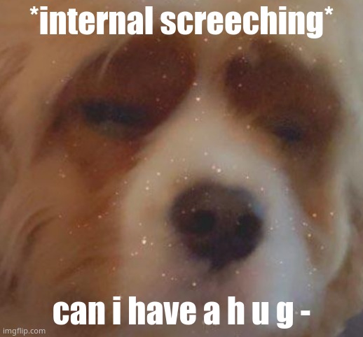 ;-; | *internal screeching*; can i have a h u g - | image tagged in narwhal doge | made w/ Imgflip meme maker