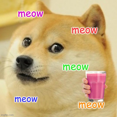 Doge | meow; meow; meow; meow; meow | image tagged in memes,doge | made w/ Imgflip meme maker