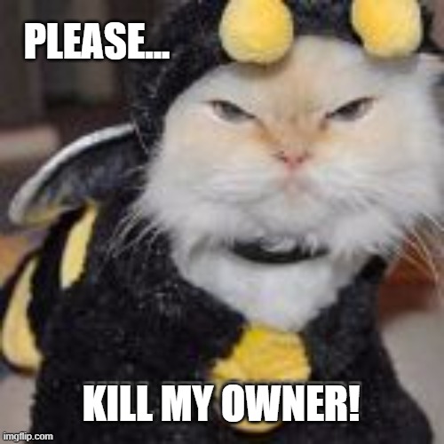 Kill My Owner! | PLEASE... KILL MY OWNER! | image tagged in cats,funny | made w/ Imgflip meme maker
