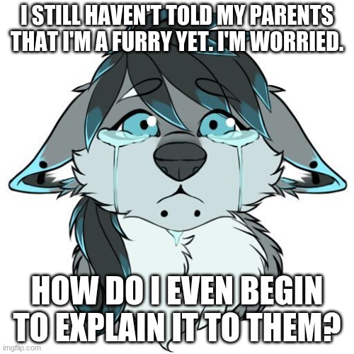 (Not my art) Please help me. Please. | I STILL HAVEN'T TOLD MY PARENTS THAT I'M A FURRY YET. I'M WORRIED. HOW DO I EVEN BEGIN TO EXPLAIN IT TO THEM? | image tagged in sad furry | made w/ Imgflip meme maker