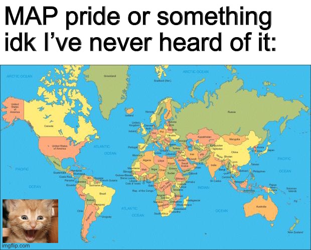 We get it, you made a map (I seriously don’t know what it means) | MAP pride or something idk I’ve never heard of it: | image tagged in world map | made w/ Imgflip meme maker