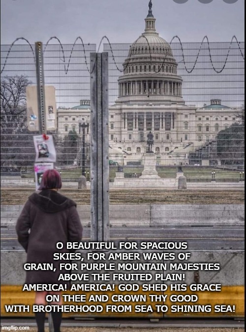 capital | O BEAUTIFUL FOR SPACIOUS SKIES, FOR AMBER WAVES OF GRAIN, FOR PURPLE MOUNTAIN MAJESTIES ABOVE THE FRUITED PLAIN! AMERICA! AMERICA! GOD SHED HIS GRACE ON THEE AND CROWN THY GOOD WITH BROTHERHOOD FROM SEA TO SHINING SEA! | image tagged in capital | made w/ Imgflip meme maker