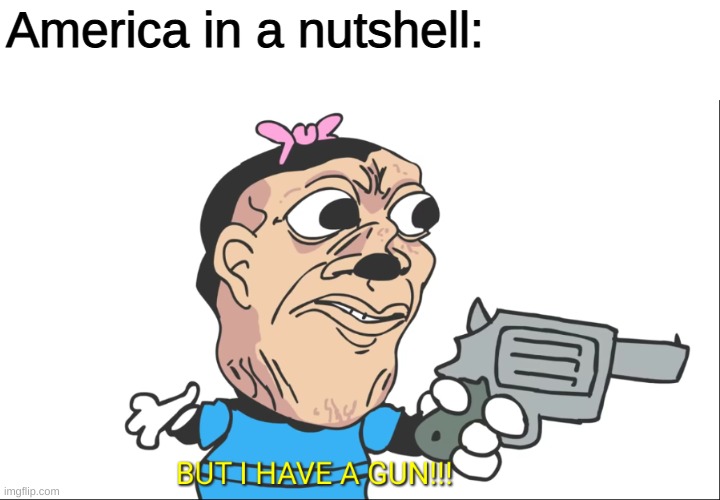 BUT I HAVE A GUN!!! | America in a nutshell: | image tagged in but i have a gun | made w/ Imgflip meme maker
