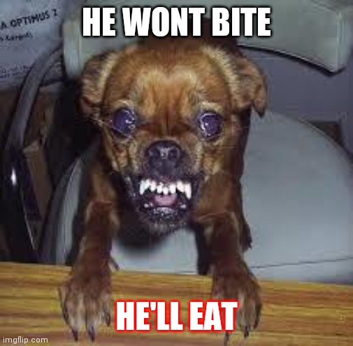 MAD DOG | HE WONT BITE; HE'LL EAT | image tagged in mad dog | made w/ Imgflip meme maker