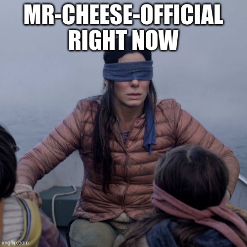 Bird Box Meme | MR-CHEESE-OFFICIAL RIGHT NOW | image tagged in memes,bird box | made w/ Imgflip meme maker