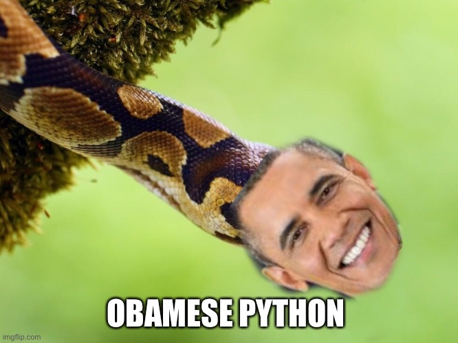 My friend wanted me to photoshop this | OBAMESE PYTHON | made w/ Imgflip meme maker