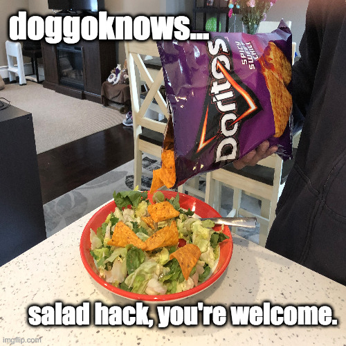 doggoknows...  salad hack | doggoknows... salad hack, you're welcome. | image tagged in doggo,funny memes,salad,croutons,doggoknows | made w/ Imgflip meme maker