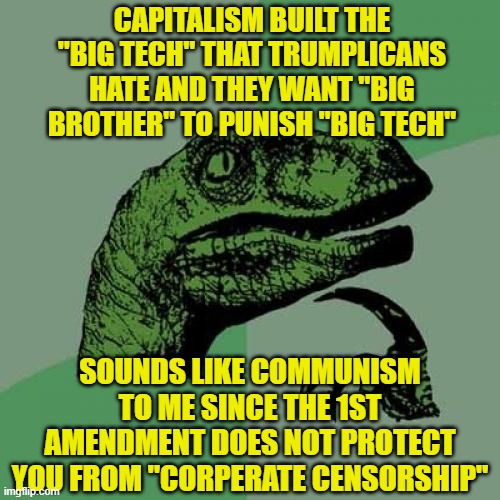 Philosoraptor Meme | CAPITALISM BUILT THE "BIG TECH" THAT TRUMPLICANS HATE AND THEY WANT "BIG BROTHER" TO PUNISH "BIG TECH"; SOUNDS LIKE COMMUNISM TO ME SINCE THE 1ST AMENDMENT DOES NOT PROTECT YOU FROM "CORPERATE CENSORSHIP" | image tagged in memes,philosoraptor | made w/ Imgflip meme maker