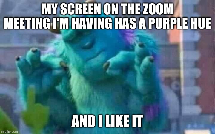 yes. | MY SCREEN ON THE ZOOM MEETING I'M HAVING HAS A PURPLE HUE; AND I LIKE IT | image tagged in memes,funny,purple,yes | made w/ Imgflip meme maker