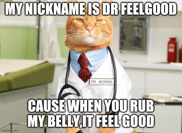Cat Doctor | MY NICKNAME IS DR FEELGOOD; CAUSE WHEN YOU RUB MY BELLY,IT FEEL GOOD | image tagged in cat doctor | made w/ Imgflip meme maker