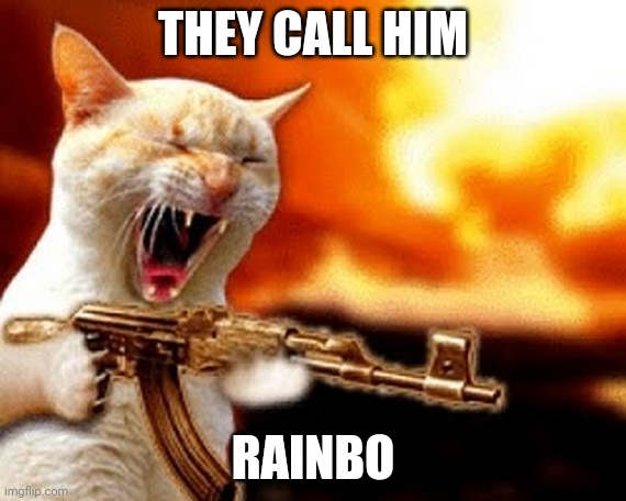 machine gun cat | THEY CALL HIM; RAINBO | image tagged in machine gun cat | made w/ Imgflip meme maker