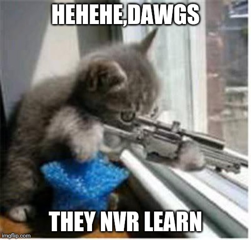 cats with guns | HEHEHE,DAWGS; THEY NVR LEARN | image tagged in cats with guns | made w/ Imgflip meme maker