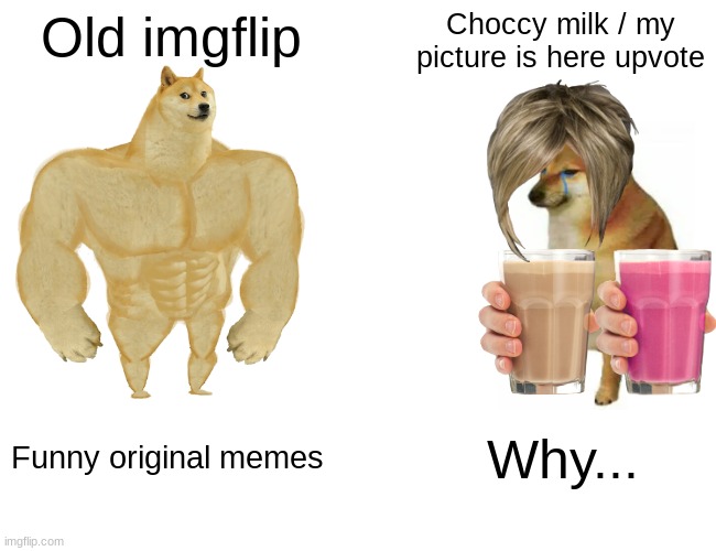 True | Old imgflip; Choccy milk / my picture is here upvote; Funny original memes; Why... | image tagged in memes,buff doge vs cheems | made w/ Imgflip meme maker