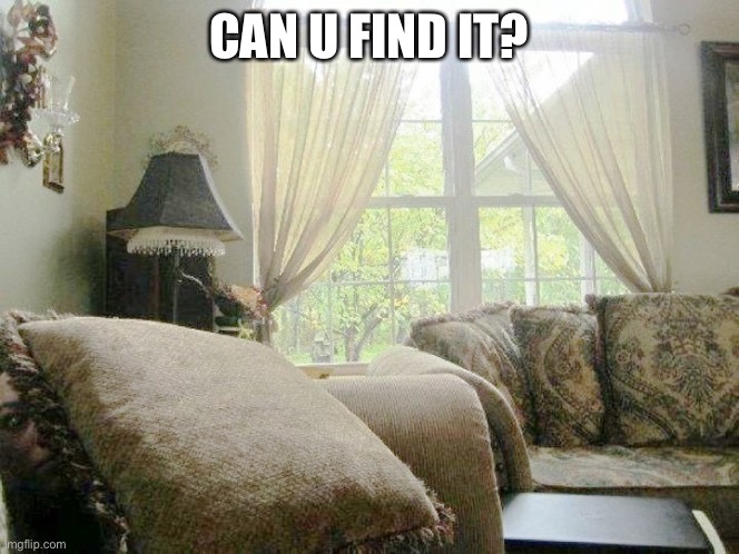 CAN U FIND IT? | made w/ Imgflip meme maker