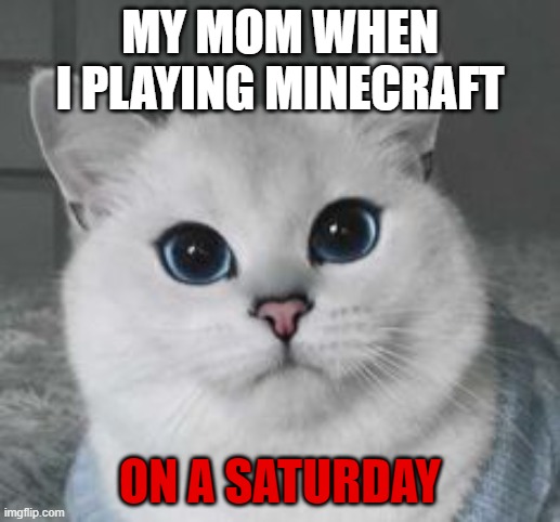 Coby the cat | MY MOM WHEN I PLAYING MINECRAFT; ON A SATURDAY | image tagged in coby the cat | made w/ Imgflip meme maker