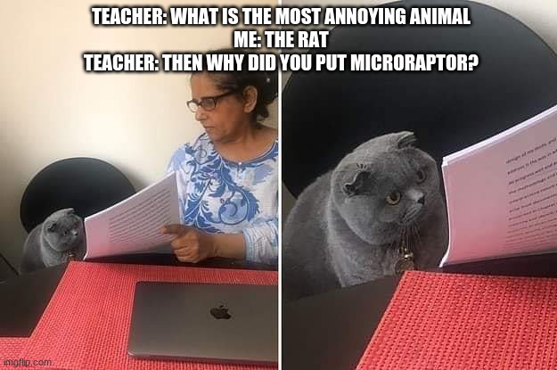 Woman showing paper to cat | TEACHER: WHAT IS THE MOST ANNOYING ANIMAL
ME: THE RAT
TEACHER: THEN WHY DID YOU PUT MICRORAPTOR? | image tagged in woman showing paper to cat | made w/ Imgflip meme maker