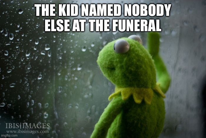 kermit window | THE KID NAMED NOBODY ELSE AT THE FUNERAL | image tagged in kermit window | made w/ Imgflip meme maker