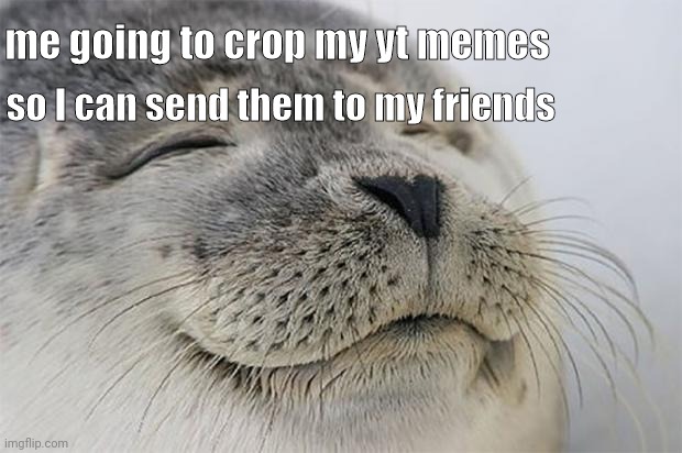 they're gonna love it! | me going to crop my yt memes; so I can send them to my friends | image tagged in memes,satisfied seal | made w/ Imgflip meme maker