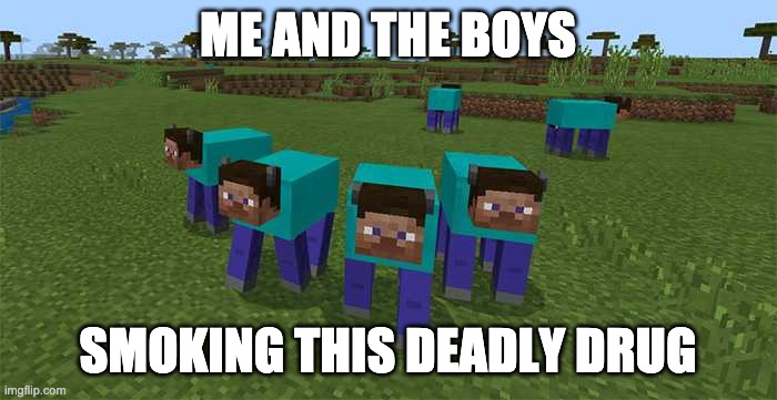 me and the boys | ME AND THE BOYS SMOKING THIS DEADLY DRUG | image tagged in me and the boys | made w/ Imgflip meme maker