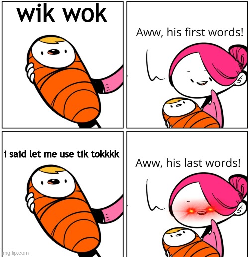 Aww, His Last Words | wik wok; i said let me use tik tokkkk | image tagged in aww his last words | made w/ Imgflip meme maker