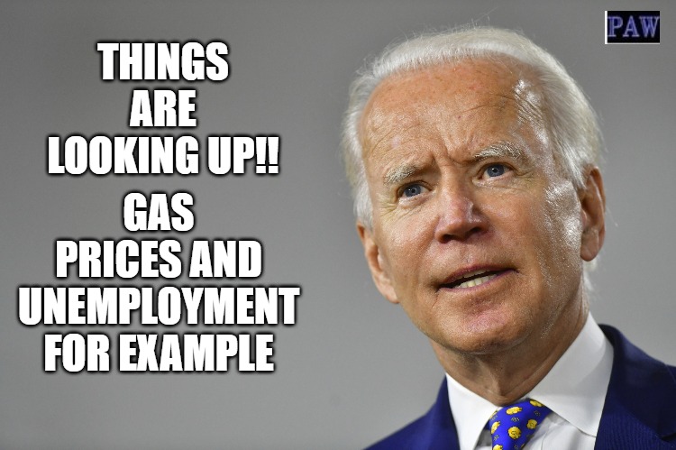 Looking up | THINGS ARE LOOKING UP!! GAS PRICES AND UNEMPLOYMENT FOR EXAMPLE | image tagged in biden,fail,funny | made w/ Imgflip meme maker