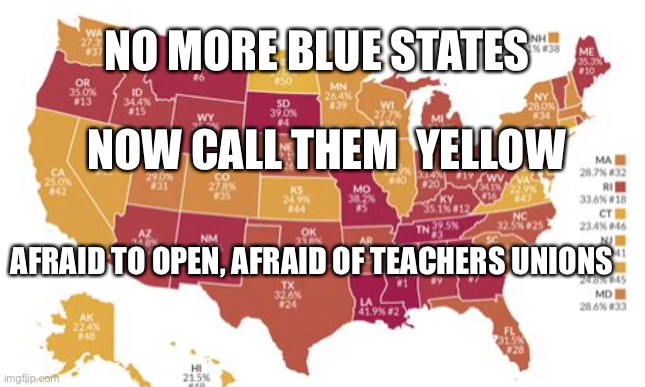 Blue states now are chicken yellow | NO MORE BLUE STATES; NOW CALL THEM  YELLOW; AFRAID TO OPEN, AFRAID OF TEACHERS UNIONS | image tagged in funny,united states of america,blue | made w/ Imgflip meme maker