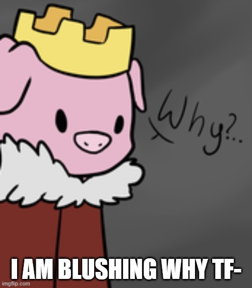 Technoblade Why | I AM BLUSHING WHY TF- | image tagged in technoblade why | made w/ Imgflip meme maker