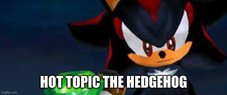 hot topic the hedgehog | HOT TOPIC THE HEDGEHOG | made w/ Imgflip meme maker