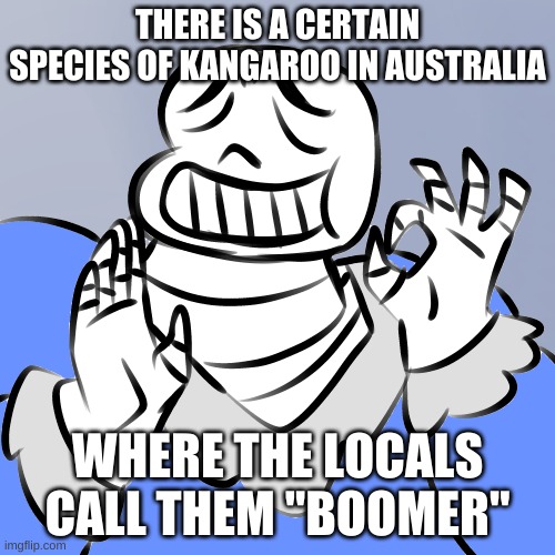 *wheeze | THERE IS A CERTAIN SPECIES OF KANGAROO IN AUSTRALIA; WHERE THE LOCALS CALL THEM "BOOMER" | image tagged in memes,funny,boomer,kangaroo,perfection | made w/ Imgflip meme maker