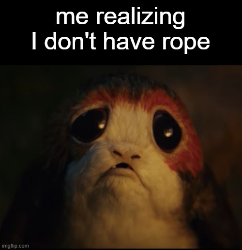 Maybe the good ol fork and outlet | me realizing I don't have rope | image tagged in porg with big sad eyes | made w/ Imgflip meme maker