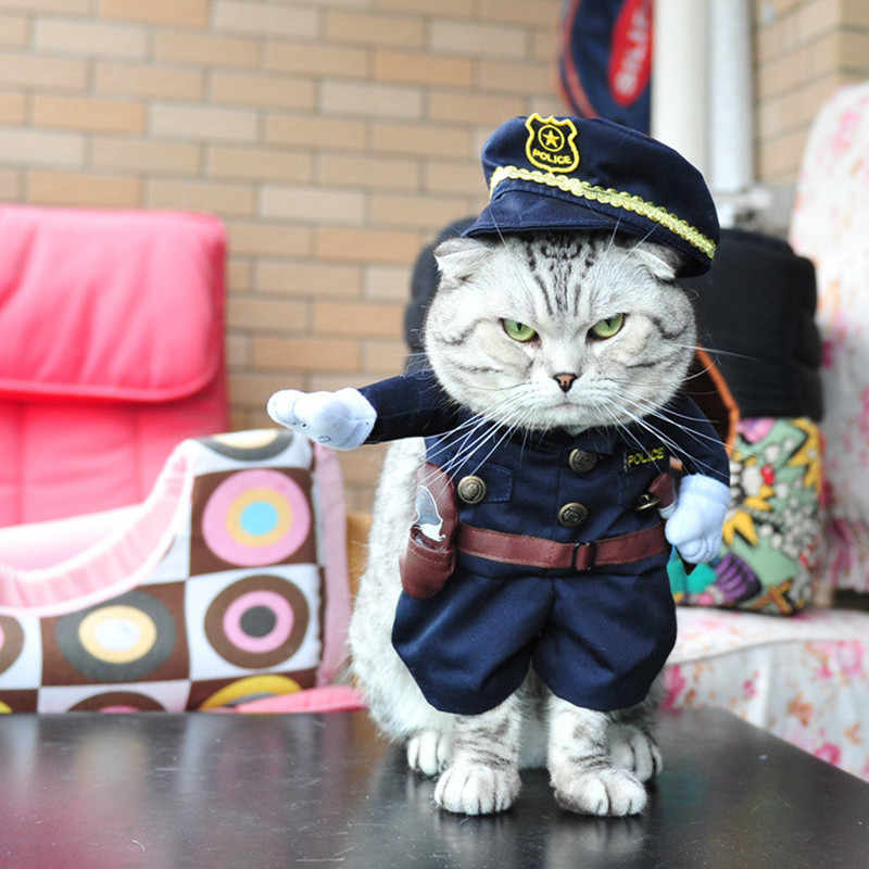 High Quality cat police Blank Meme Template