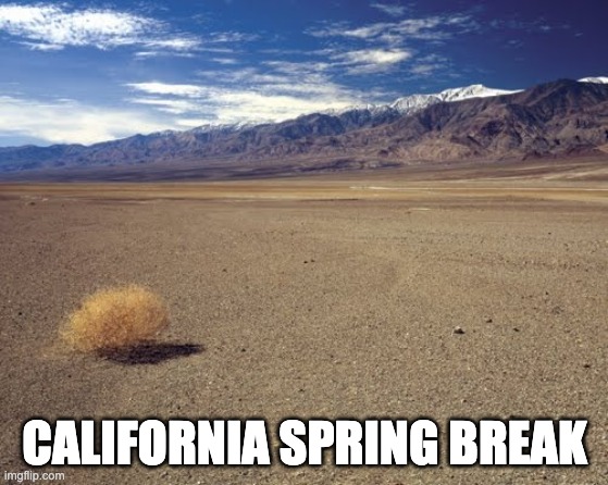 desert tumbleweed | CALIFORNIA SPRING BREAK | image tagged in desert tumbleweed | made w/ Imgflip meme maker