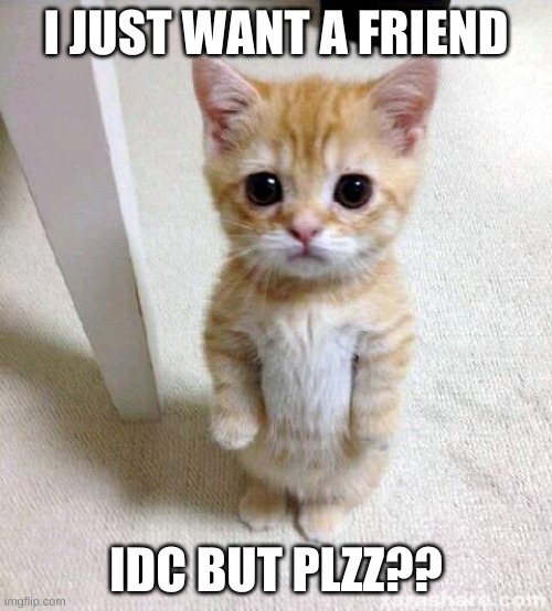 Cute Cat Meme | I JUST WANT A FRIEND; IDC BUT PLZZ?? | image tagged in memes,cute cat | made w/ Imgflip meme maker