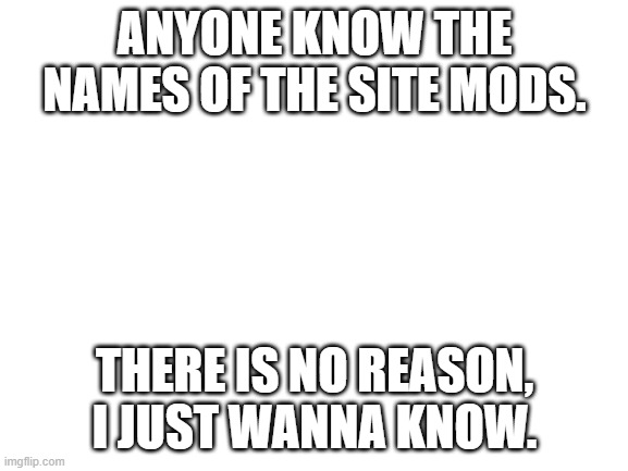 Blank White Template | ANYONE KNOW THE NAMES OF THE SITE MODS. THERE IS NO REASON, I JUST WANNA KNOW. | image tagged in blank white template | made w/ Imgflip meme maker