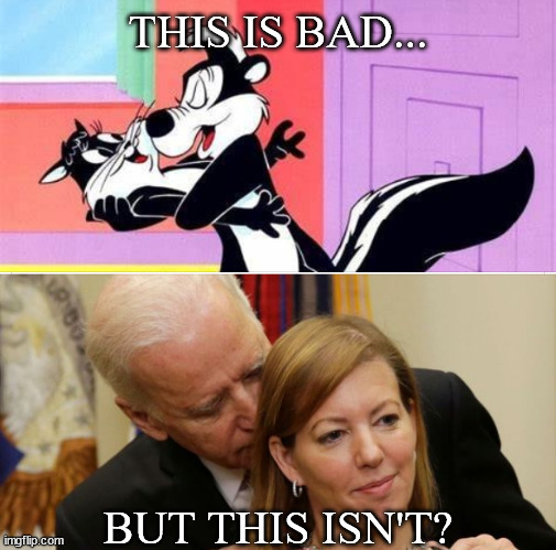 What's the Difference? | THIS IS BAD... BUT THIS ISN'T? | image tagged in pepe le pew,sleepy joe | made w/ Imgflip meme maker