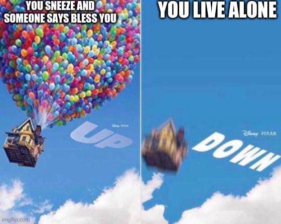 Up and Down | YOU SNEEZE AND SOMEONE SAYS BLESS YOU; YOU LIVE ALONE | image tagged in up and down | made w/ Imgflip meme maker