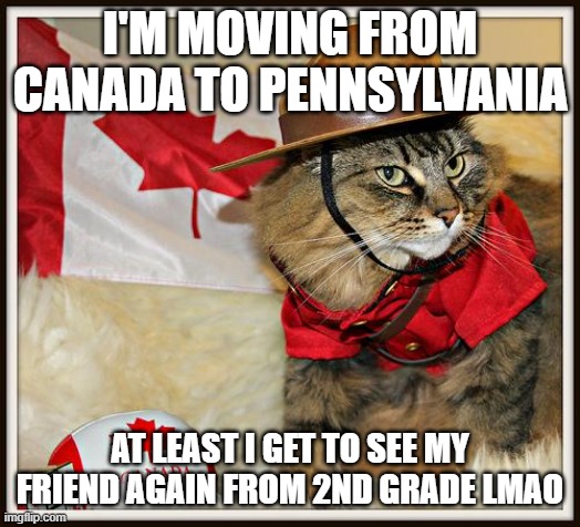 IDK im scared also wtf is this thing called an angle? | I'M MOVING FROM CANADA TO PENNSYLVANIA; AT LEAST I GET TO SEE MY FRIEND AGAIN FROM 2ND GRADE LMAO | image tagged in canada cat | made w/ Imgflip meme maker