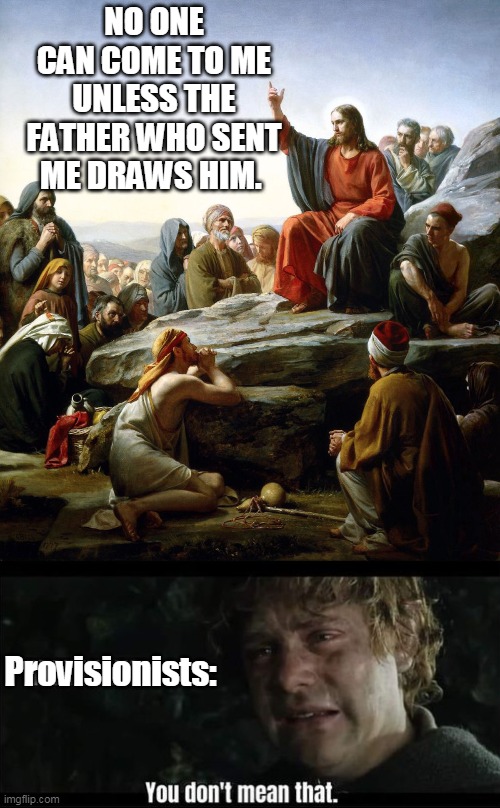 Effectual Calling is Irresistable Grace | NO ONE CAN COME TO ME UNLESS THE FATHER WHO SENT ME DRAWS HIM. Provisionists: | image tagged in jesus sermon on the mount,samwise gamgee,calvinism,arminianism,free will,memes | made w/ Imgflip meme maker