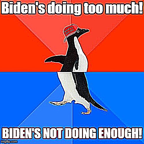 tl;dr hoes mad | image tagged in maga,socially awesome awkward penguin,conservative logic,joe biden,biden,conservatives | made w/ Imgflip meme maker
