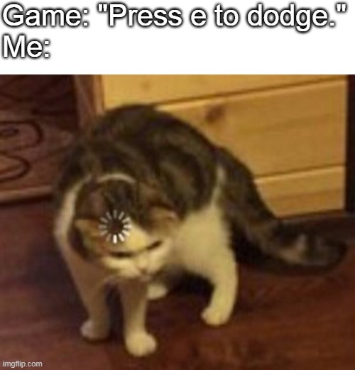 When you play a fighting genre video game: | Game: "Press e to dodge."
Me: | image tagged in loading cat,gaming,video games,memes,funny | made w/ Imgflip meme maker