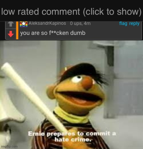 WHY!! | image tagged in low rated comment dark mode version,ernie prepares to commit a hate crime | made w/ Imgflip meme maker