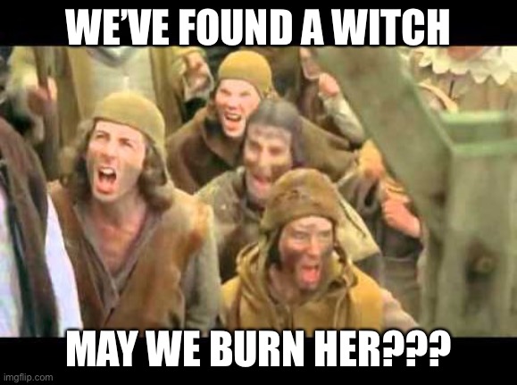Burn Her Anyway | WE’VE FOUND A WITCH MAY WE BURN HER??? | image tagged in burn her anyway | made w/ Imgflip meme maker